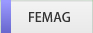 FEMAG