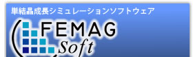 FEMAG