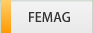 FEMAG